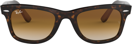 Wayfarer - Tortoise - Clear Gradient Brown