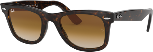 Wayfarer - Tortoise - Clear Gradient Brown