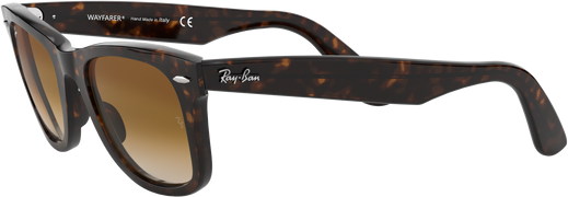 Wayfarer - Tortoise - Clear Gradient Brown