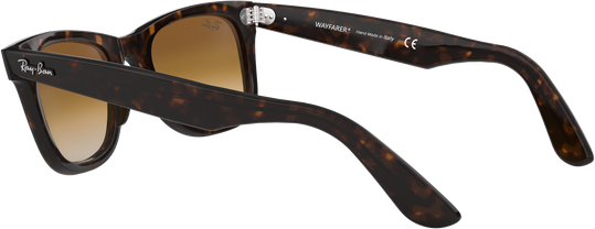 Wayfarer - Tortoise - Clear Gradient Brown