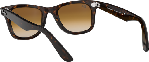 Wayfarer - Tortoise - Clear Gradient Brown