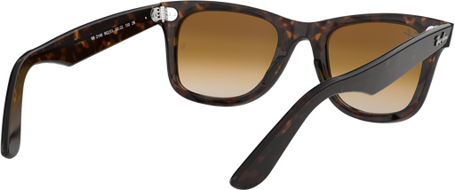 Wayfarer - Tortoise - Clear Gradient Brown
