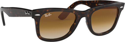 Wayfarer - Tortoise - Clear Gradient Brown