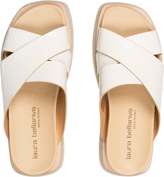7828 Cocco Bianco - Dust