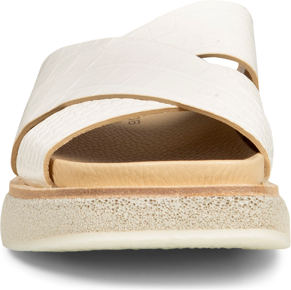 7828 Cocco Bianco - Dust