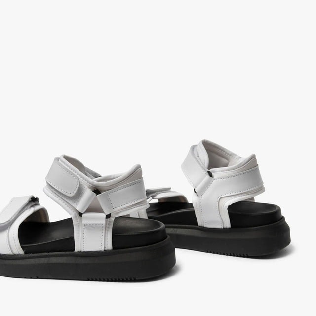 Beta - White