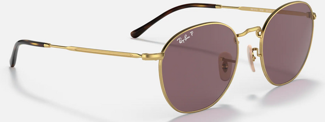 Rob - Arista - Dark Violet Polar