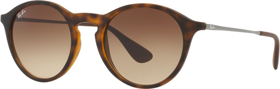 0RB4243 - Brown Gradient Dark Brown - Ray Ban - Tilbehør - VILLOID.no