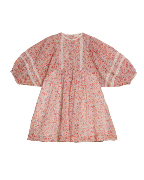 victorian organza shift dress roses